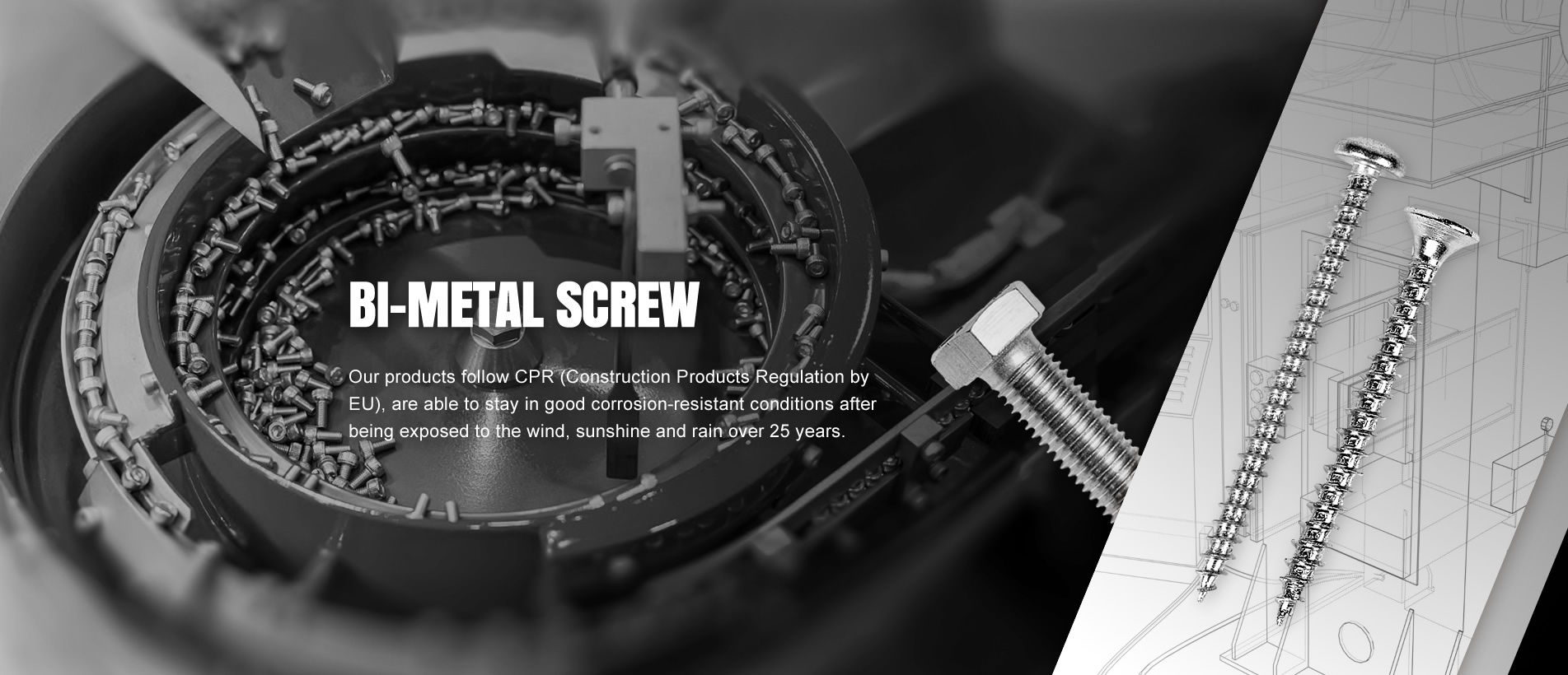 banner-index.fw_r1_c1.jpg